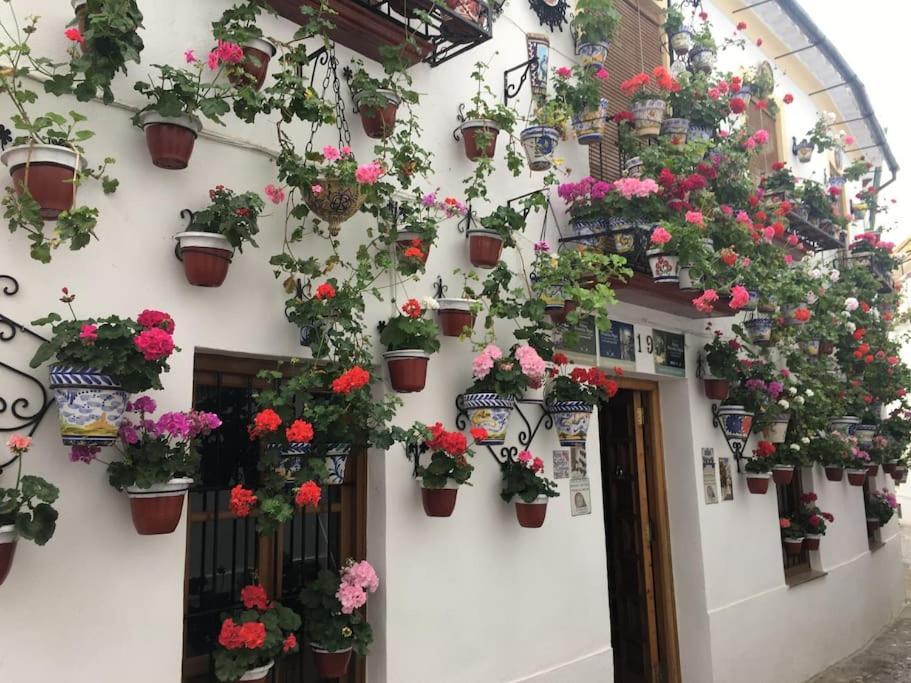 Apartamento El Rincon De La Verdad Córdoba Exterior foto
